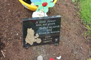 Hegarty Jack baby