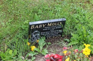 Molly baby  