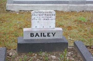 Bailey Andrew Cloonlough