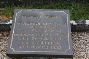 Bristley Veronica Ballinasloe