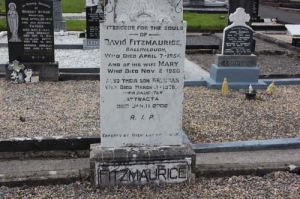 Fitzmaurice David Ballinlough