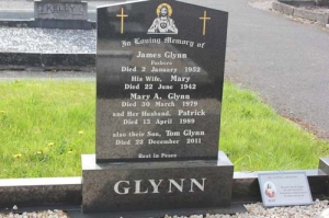 Glynn James Foxboro (2)
