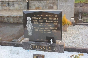 Hussey Thomas (Tom) Town View, Ballinlough
