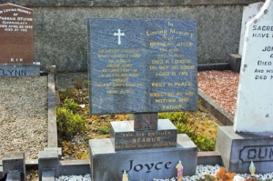 Joyce Brendan The Avenue, Ballinlough