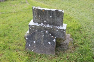 Donnellan Mary Ann Teemana