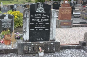 Flynn James Milltown