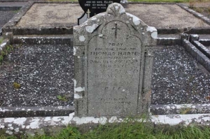Harte Thomas Clooneykearney