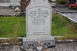 Hevigan Peter Milltown Castleplunket
