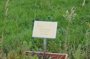 Hoban Paddy Brackloon, Ballintubber