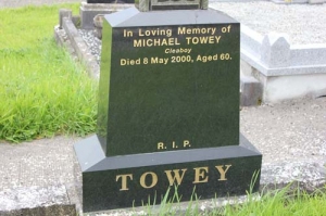 Towey Michael Cleaboy     
