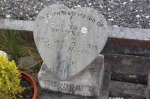Brandley Aisling baby Farm