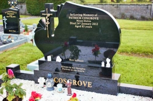 Cosgrove Patrick Mount Delvin