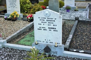Cosgrove Peter Mount Delvin