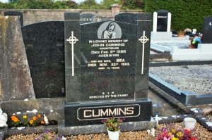 Cummins John Mountdelvin