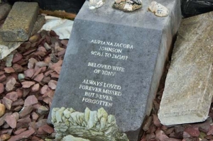 Johnson Adriana Jacoba