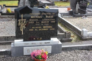 Burke Michael Demesne