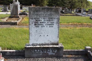 Conroy Andrew Cloonbunny (2)