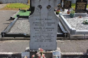 Flanagan Domnick