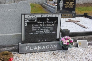 Flanagan John Demesne
