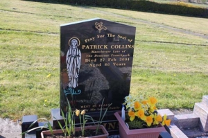 Collins Patrick Demesne