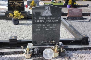 Callaghan Andrew Tully