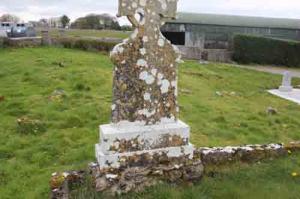 Guinness Bridget Ballinlough