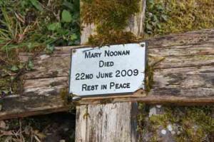 Noonan Mary