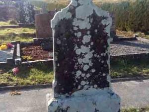 Ruane John Lisnagroobe