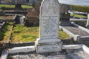 Walsh Patrick Spring Gardens