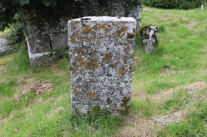 Connae or Connane James