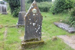Fahey Edward Curries