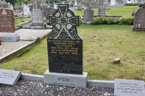 Fox Michael Ballyhiague