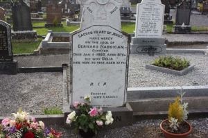 Haddigan Bernard Curragh