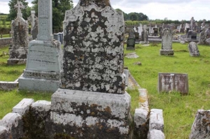 Hynes John