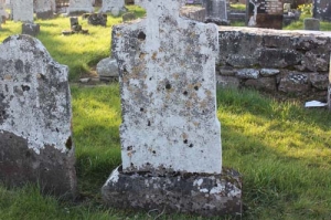 Carroll Edward
