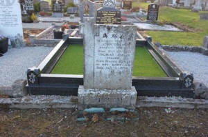 Giblin John Demesne, Frenchpark