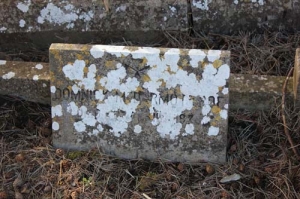 McDermottroe Dominick