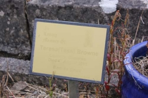 Browne Teresa (Tess) Lisalway