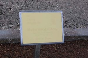 D'Arcy Mary (Molly)
