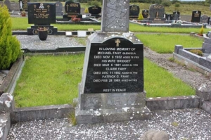 Fahy Michael Glenvela