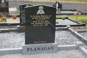 Flanagan Alice Castleplunkett