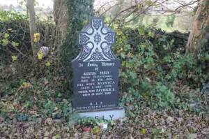 Feely Austin Slevin, Castleplunket