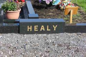 Healy