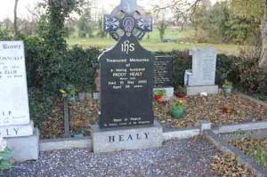 Healy Paddy Manor, Tulsk