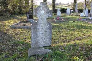 Kelly Dominick Lisheen, Castleplunkett